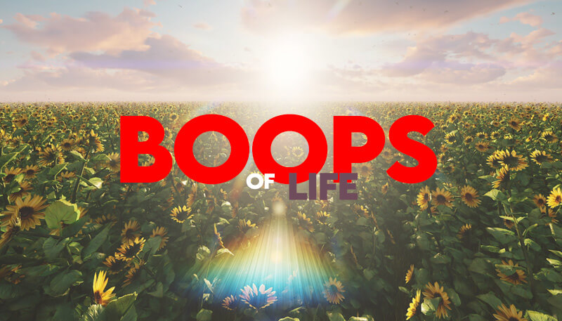 Boops of Life